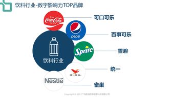 199it 互聯網數據中心的卓越服務與價值